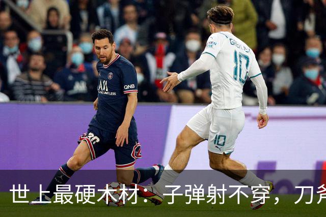 世上最硬木材：子弹射不穿，刀斧劈不烂，却被我国大量收购