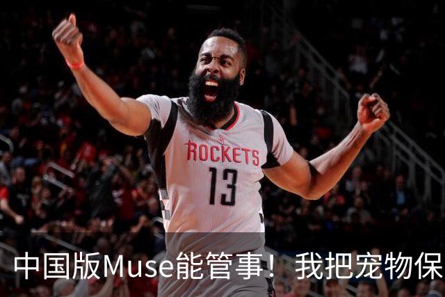 中国版Muse能管事！我把宠物保单、双11算价和周末旅行全交给了灵光2.0