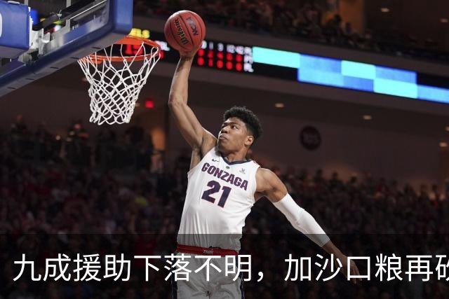 九成援助下落不明，加沙口粮再砍三分之一，欧洲的善意已经见底