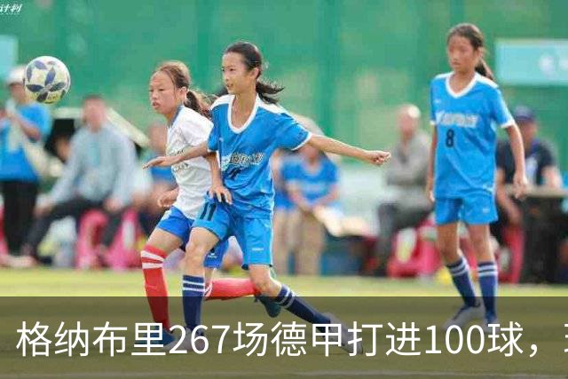 格纳布里267场德甲打进100球，现役德甲球员中第三位百球先生