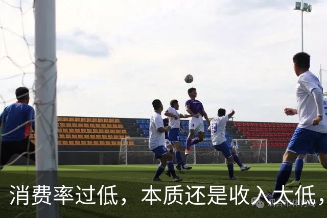 消费率过低，本质还是收入太低，提高分配收入才是重点