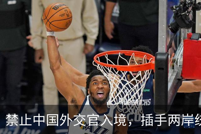 禁止中国外交官入境，插手两岸统一，这个国家比美国还要过分？