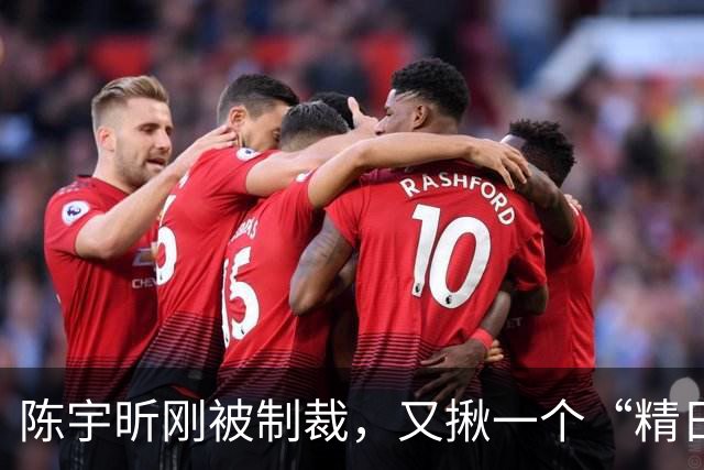 陈宇昕刚被制裁，又揪一个“精日”人员：竟然还是本土企业老板
