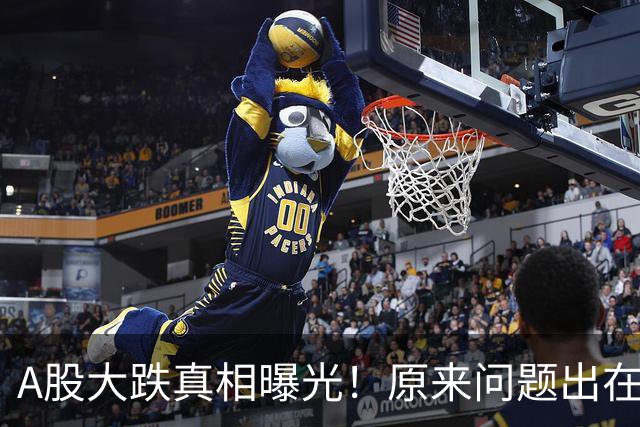 A股大跌真相曝光！原来问题出在这……